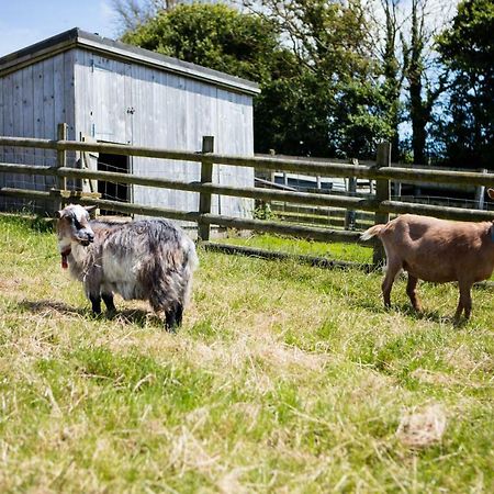Sharlands Farm Holiday Cottages Bude Exteriér fotografie