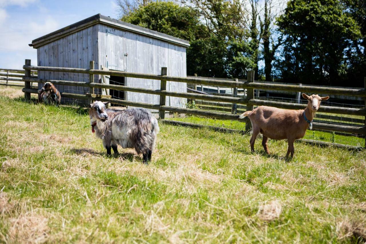 Sharlands Farm Holiday Cottages Bude Exteriér fotografie